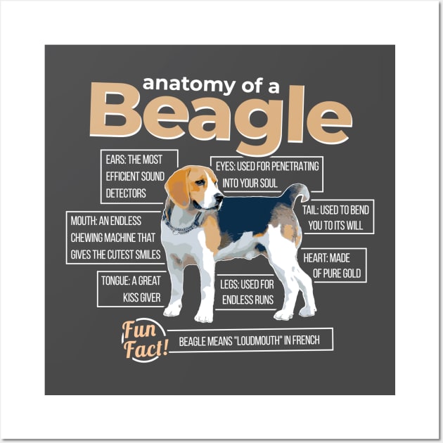 Anatomy of a Beagle Wall Art by dan89